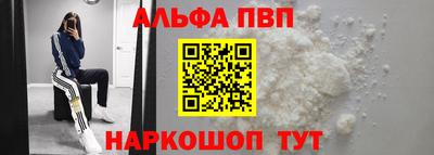амф Кингисепп