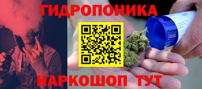 прущие грибы Кимры