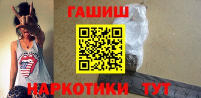амф Кингисепп