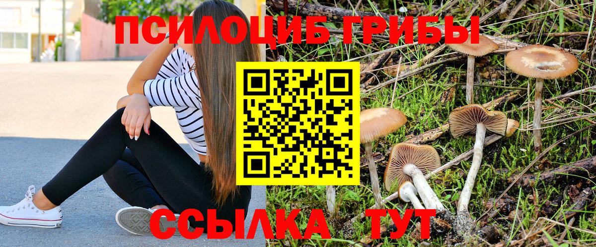 Дальнегорск  Псилоцибиновые грибы мицелий  Вход с VPN  Галлюциногенные грибы прущие грибы 